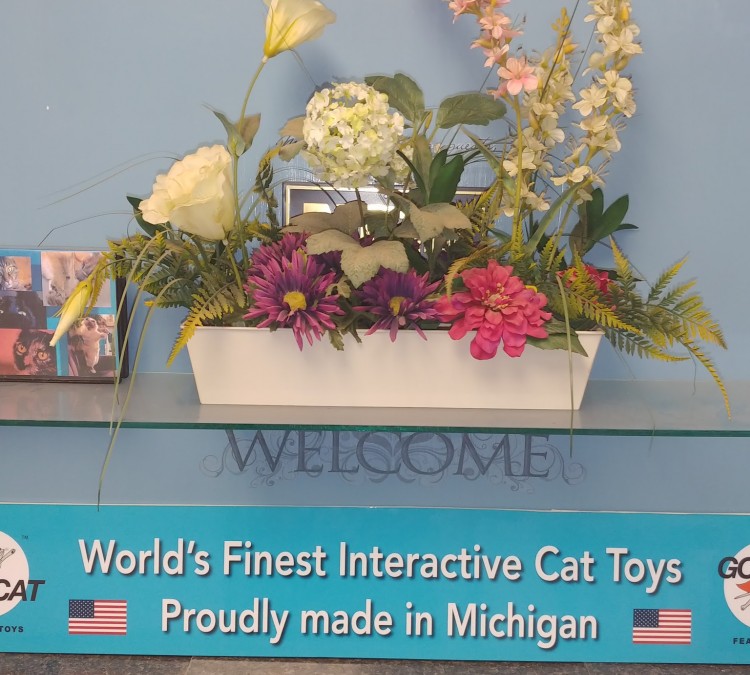 Go Cat Feather Toys (Charlotte,&nbspMI)